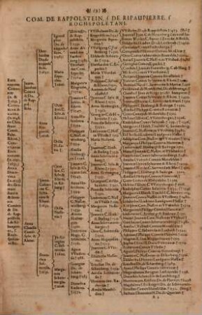 Theatrum. Nobilitatis. Europeae : Tabulis. Progonologicis. Praecipuorum. In. Cultiori. Christiano. Orbe. Magnatum. Et. Illustrium. Progenitores. CXXIIX. LXIV. Aut. XXXII. Iusto Ordine Repraesentantibus Exornatum, [1]