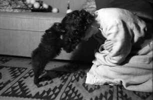 Bukarest: Wohnung Tanase, Maria Tanase, Sängerin, spielt mit Hund
