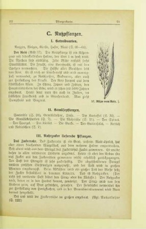 C. Nutzpflanzen