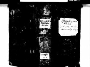 Gengenbach OG; Katholische Gemeinde: Sterbebuch 1810-1829 Enthält: Einzelne Evangelische Einträge