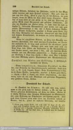 Durchfall der Schafe