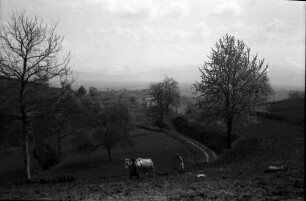 Vogtsburg, Pass: Blick vom Pass auf den Schwarzwald, Vordergrund Pflüger