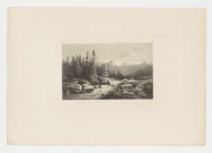 Landschaft mit Gebirgsbach und Tannen, Blatt 37 der Folge "Werke"