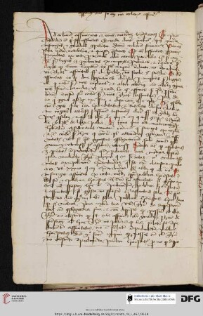 Johannes Andreae, Lectura super arborem affinitatis