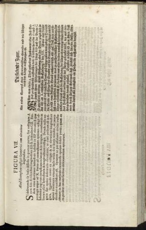 Figura VII. = Die siebende Figur. - Figura X. = Die zehende Figur.