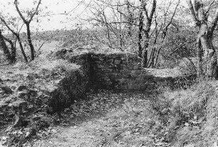 Burgruine Beilstein (Burganlage); Jossgrund, Beilstein