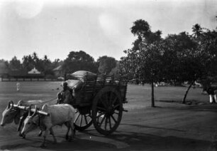 Ochsenwagen (Deutsche Indien-Expedition 1926/1929 - 5. Südindien)