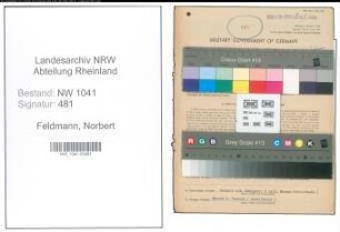 Entnazifizierung Norbert Feldmann , geb. 11.06.1909 (Drogist)