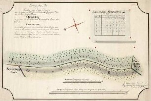 Geometrischer Plan dererjenigen Landes- und Bann-Graenzen, welche sich zwischen dem Kaiserlich Königlich Erzherzoglich Vorderoestereichischen Flecken Oberbergen als eines, sodann dem Hochfürstlich Markgraeflich Baadischen Flecken Eichstetten als anderer Seits befinden ...