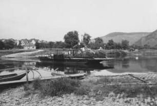 Mosel vor Ausbau bei Minheim
