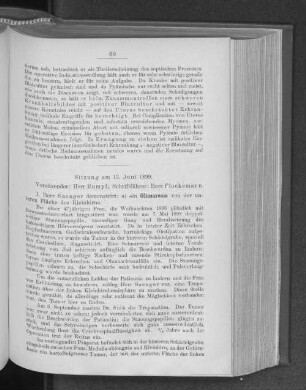 Sitzung am 13. Juni 1899.