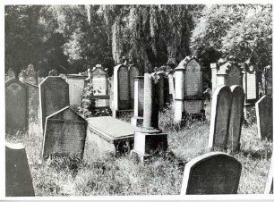 Neckarbischofsheim, HD; Jüdischer Friedhof, Gräber