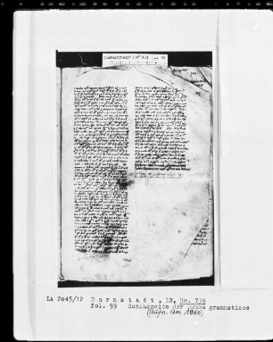 Naturwissenschaftlich-grammatikalischer Sammelband — Summa grammaticae —