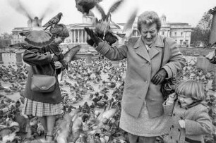 London, Tauben fütternde Touristen auf dem Trafalgar Square