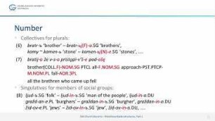 Old Church Slavonic – Morphosyntactic structures, Part 1: Nominal Structures