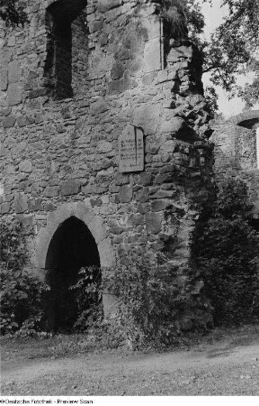 Ruine des Klosters Nimbschen bei Grimma