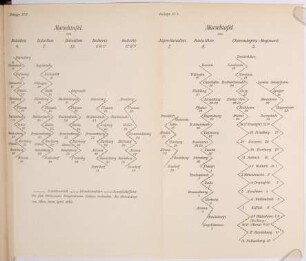 Linien-Einteilung für den Aufmarsch der bayerischen Armee