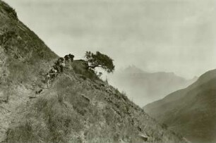 Karawanenweg bei Kosso, Abessinien : Abessinien (heute: Äthiopien). Semien-Gebirge, Karawanenweg bei Kosso, im Hintergrund der Scherenfere