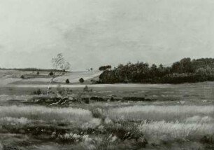 Torfmoor bei Clunek