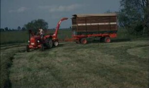 Fotografie: Futtererntetechnik, Anwelksilage, Schlegelfeldhäcksler
