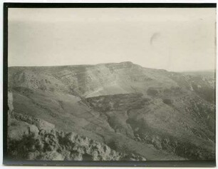 w. dana v. N I