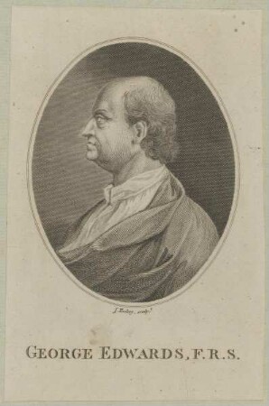 Bildnis des George Edwards