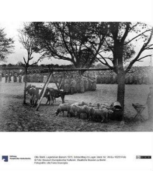 Lagerleben Bairam 1915, Schlachttag im Lager