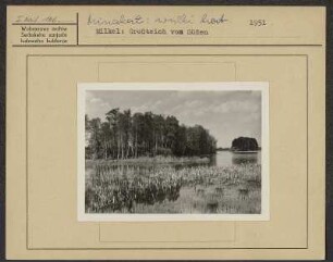 Großteich in Milkel. : Wulki hat w Minakale