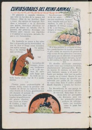 Curiosidades del reino animal