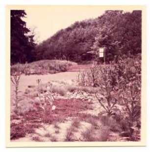 Bundesgartenschau 1955, Kassel: Pflanzen