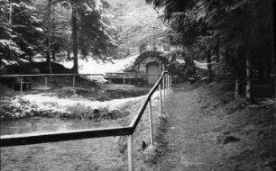 Tharandt-Grillenburg. Warnsdorfer Quelle zwischen Grillenburg und Tharandt