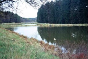 Blick über die Bücheloher Teiche Richtung Traßdorf-Kreuz