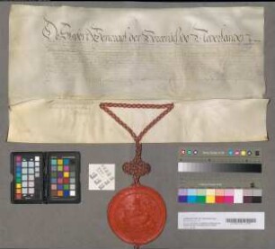 Lijfrentebrief van de Staten-Generaal van f 600.- voor Floris Albert Belgicus, jonggeboren zoon van Johan Wolfard van Brederode, 2 Januari 1655. Perkament met 1 uithangend zegel aan een koord, gevlochten van zijden gouddraad.