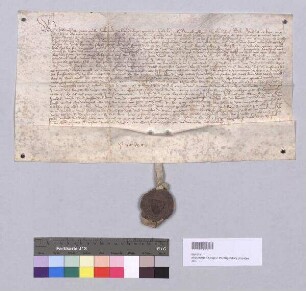 Friedrich, Landgraf zu Leuchtenberg, Graf zu Hals, Landrichter und Pfleger zu Sulzbach, weist Hans Vierling, Bürger zu Sulzbach, in den Besitz des Stumen-Hof unterhalb Rosenberg ein, der dem verstorbenen Jakob Kemnater gehört hat. S: Landgericht Sulzbach