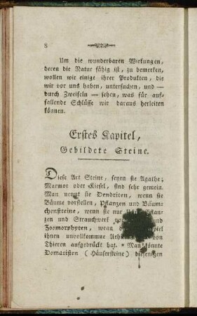 Erstes Kapitel, Gebildete Steine. - Achtes Kapitel, Kiesel.
