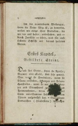 Erstes Kapitel, Gebildete Steine. - Achtes Kapitel, Kiesel.