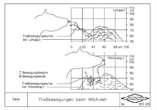 Fressbewegungen beim Milchvieh