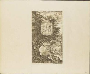 Kupferstich: Insigne Comitatus Iemtiae