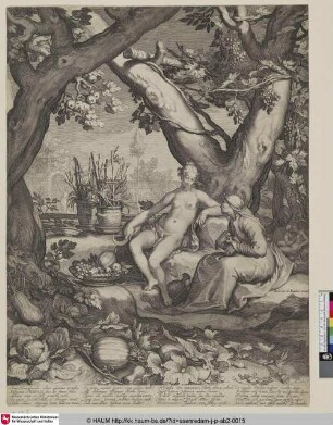 [Vertumnus und Pomona; Vertumnus and Pomona]