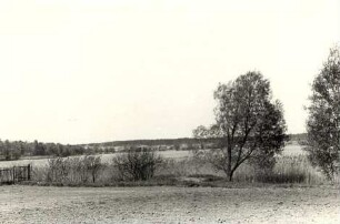 "Teich bei der Kohlengrube ""Olba"" in Kleinsaubernitz" : Hat při wuhlowej jamje "Olba" w Zuborničce