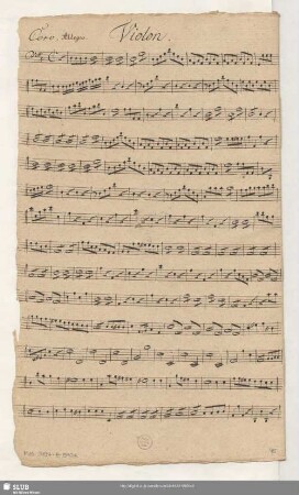 Violon