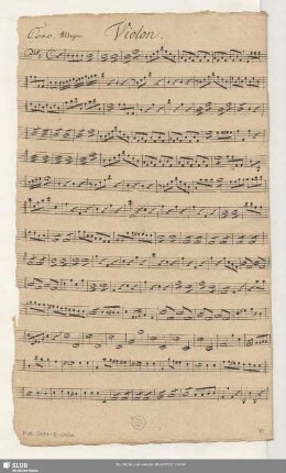 Violon