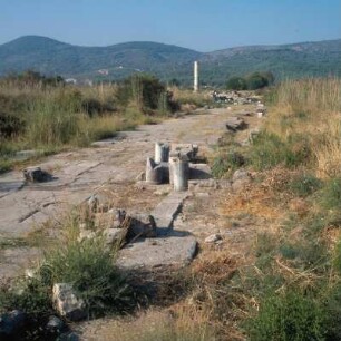 Samos. Heraion. Die neu freigelegte Heilige Straße östlich vom Hera-Tempel. Fundplatz des archaischen Marmor-Kuros