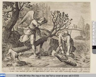 Ein grossen Fisch zeugt er auffs Landt