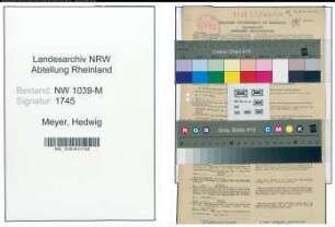 Entnazifizierung Hedwig Meyer , geb. 06.03.1893 (Lehrerin)
