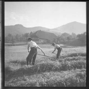 Landwirtschaft im Schwarzwald
