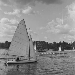 Segel- und Ruderboote auf der Havel