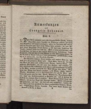 Anmerkungen zum Evangelio Johannis