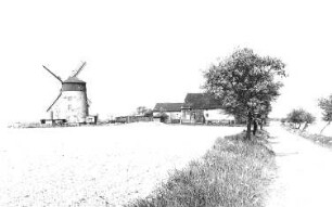 Machern-Püchau. Blick zum Turmholländer, Baujahr 1850