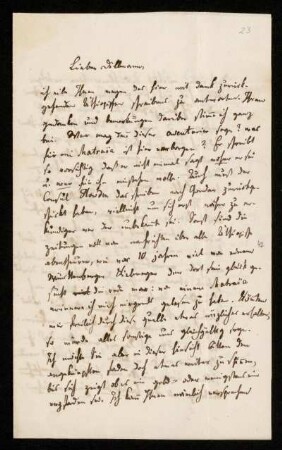 Nr. 23: Brief von Heinrich Ewald an August Dillmann, Göttingen, 31.3.1856